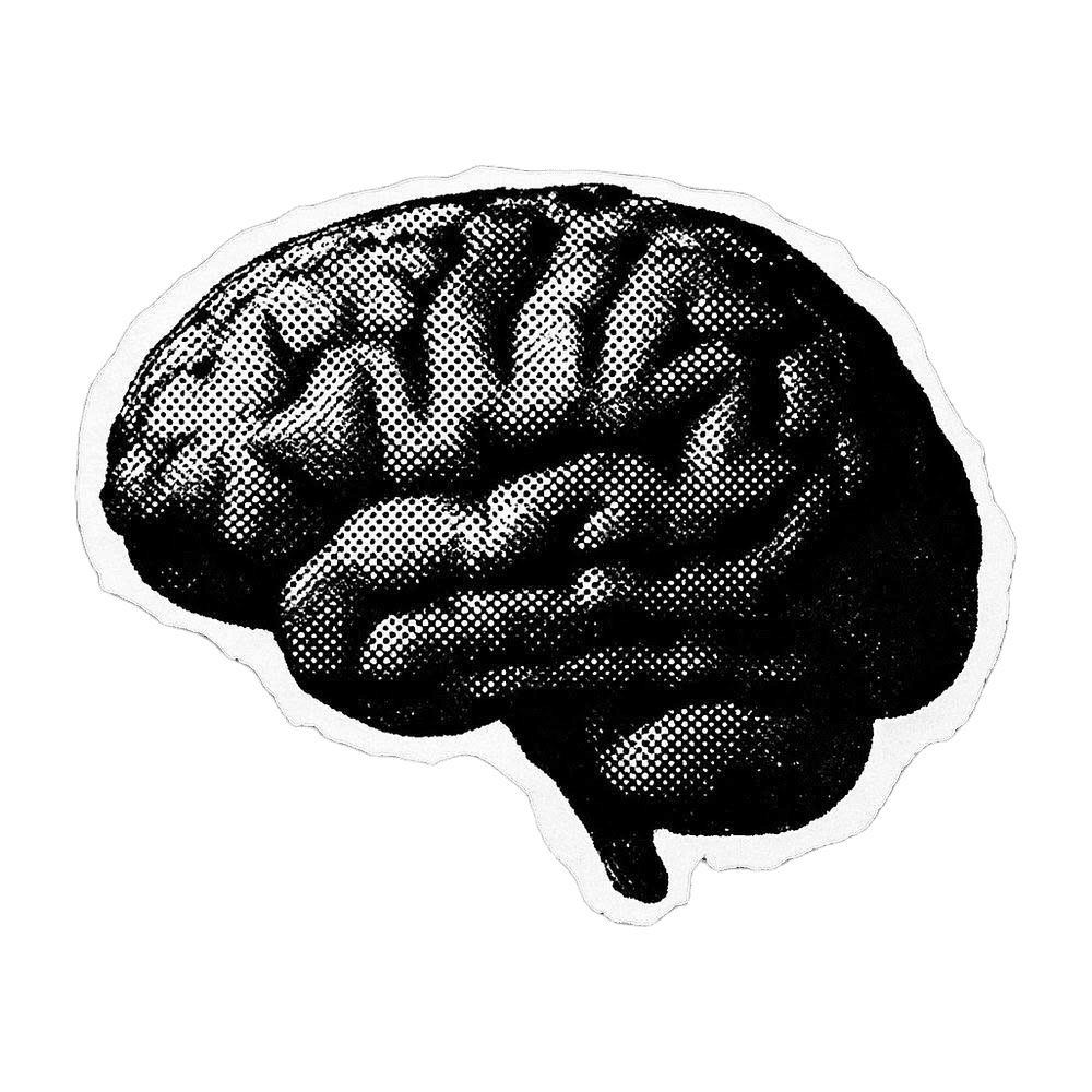 Brain